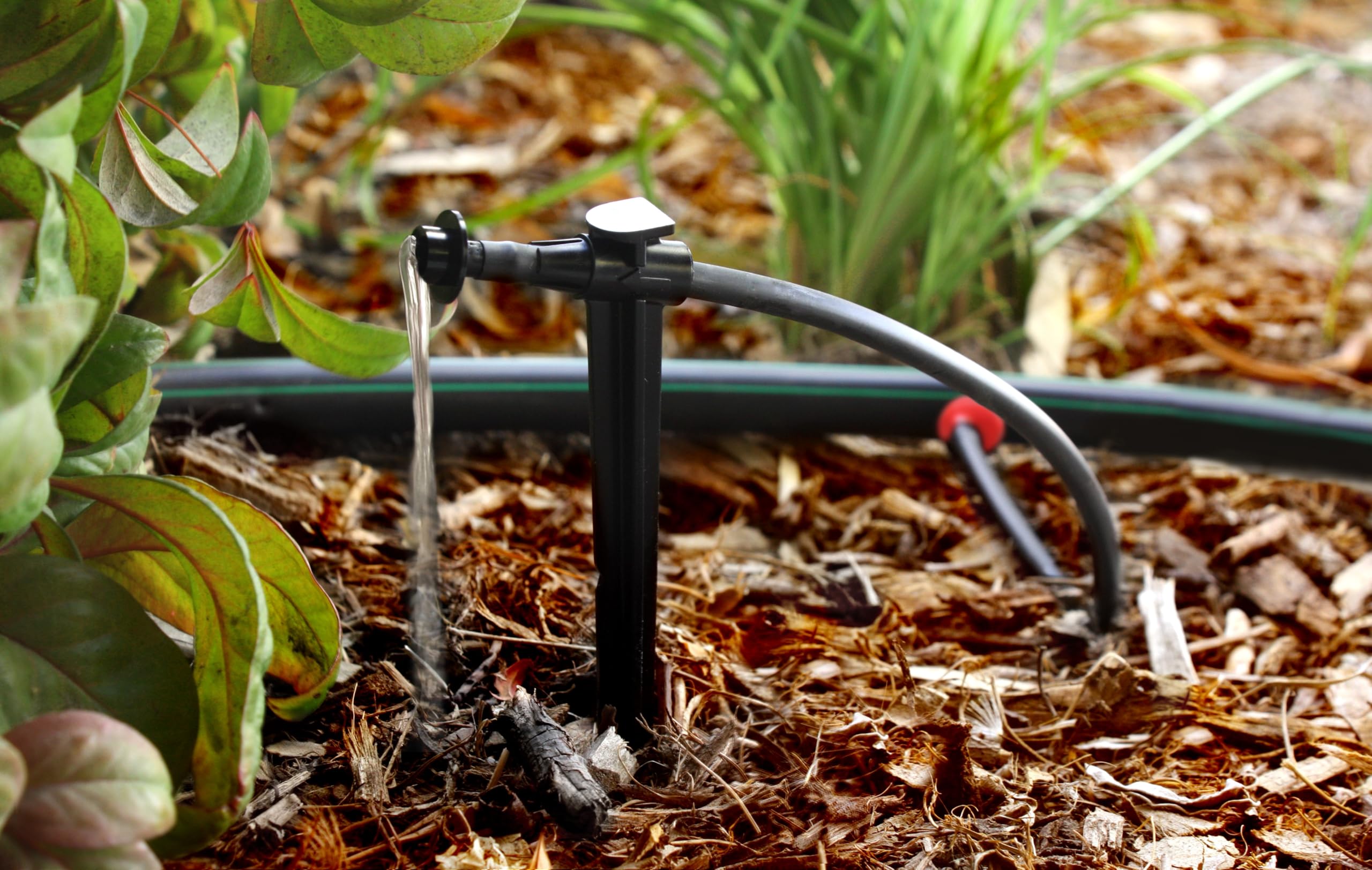 Rain Bird drip emitter in garden soil
