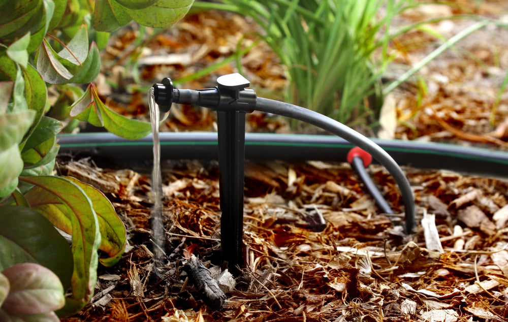 Rain Bird drip emitter in garden soil