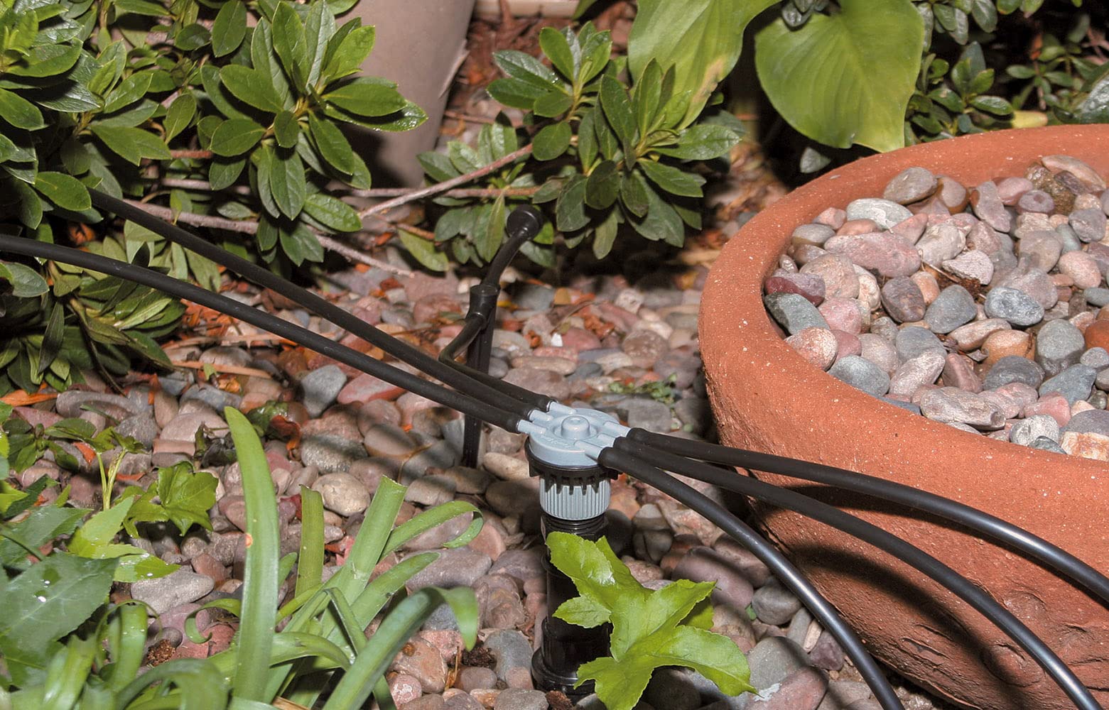 Rain Bird Drip Manifold 6-Port with barbed outlets detail