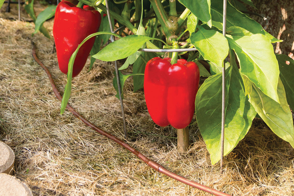 Rain Bird GARDENKIT components neatly packaged for sale