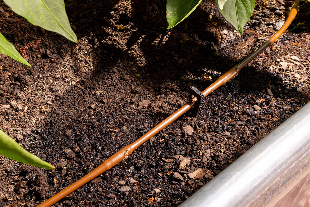 Rain Bird GARDENKIT tubing laid out for watering plants