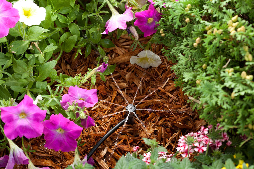 Rain Bird Micro-Bubbler in garden setting showing water spray