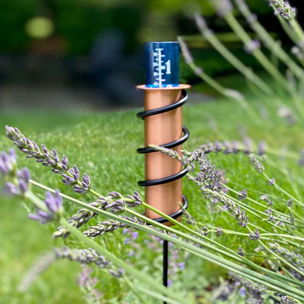 Rain gauge installed in a garden with a steel stake
