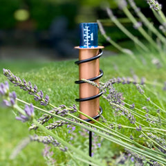 Rain gauge installed in a garden with a steel stake
