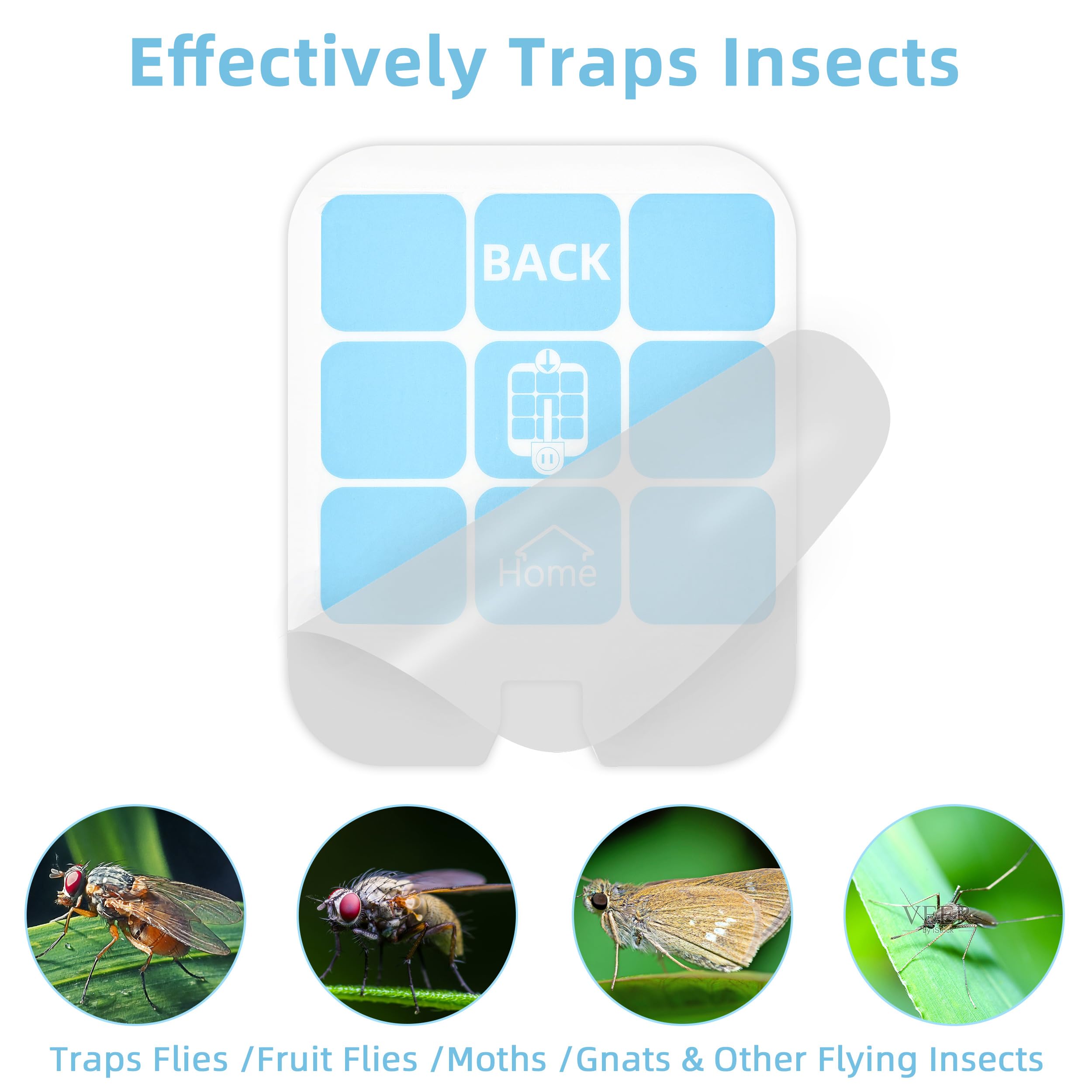 Raindot Fly Trap Refill being installed in a fly trap