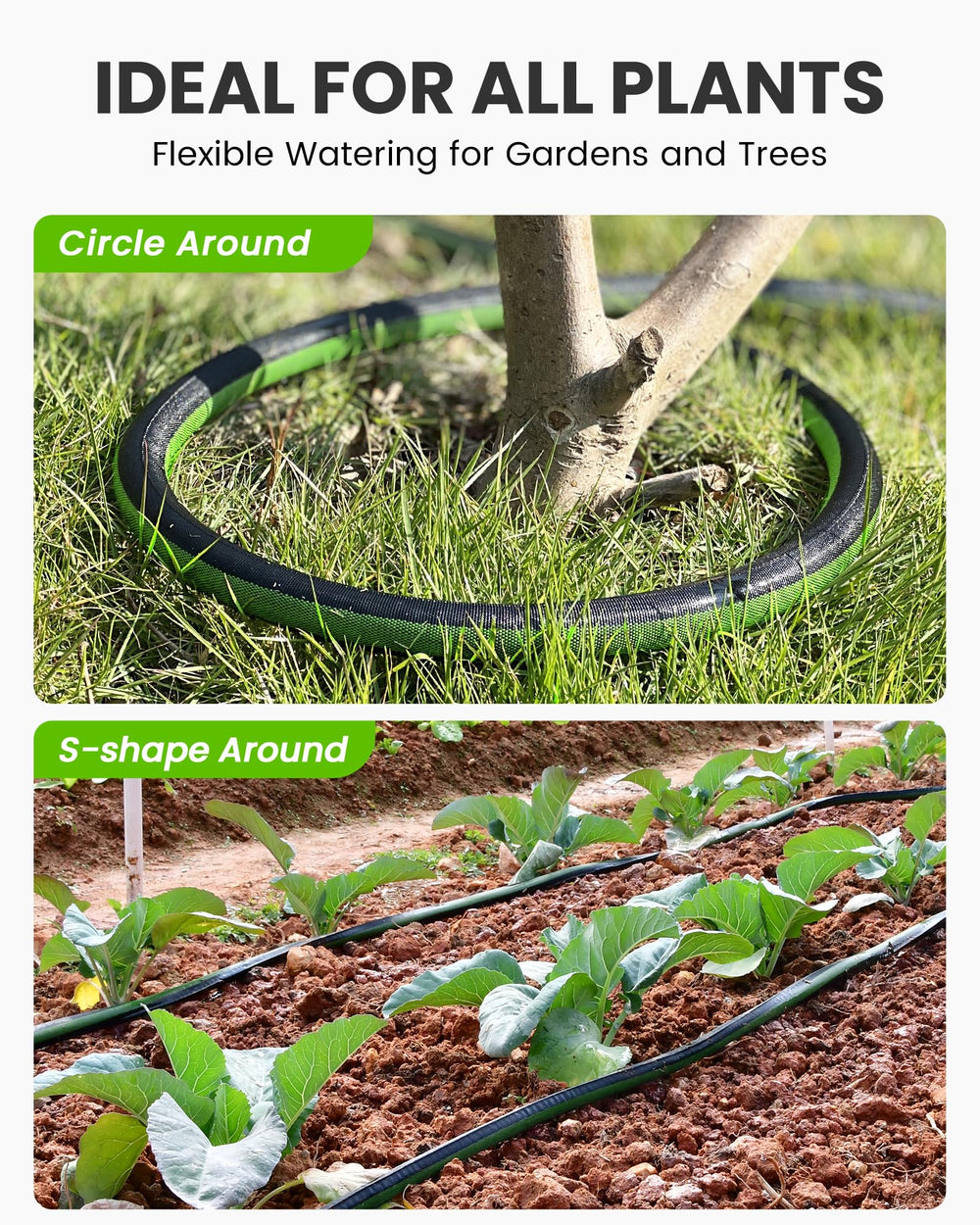 RAINPOINT 50FT Flat Soaker Hose laid flat around garden plants