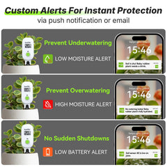 RAINPOINT Mini WiFi Hub Gen2 for Soil Monitoring