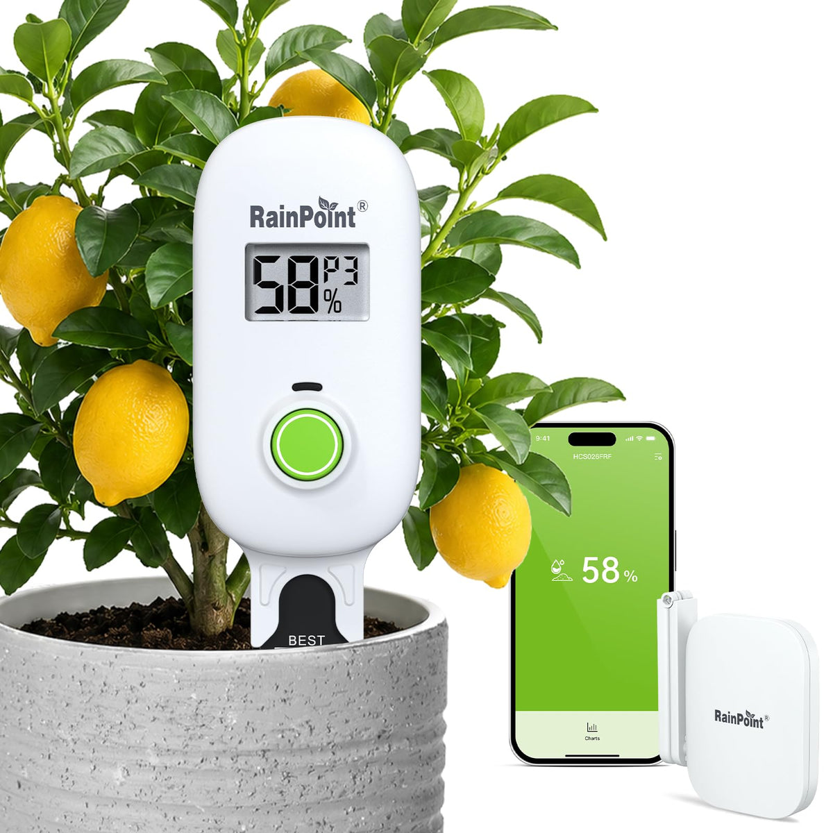 RAINPOINT Smart Digital Wireless Plant Moisture Meter front view