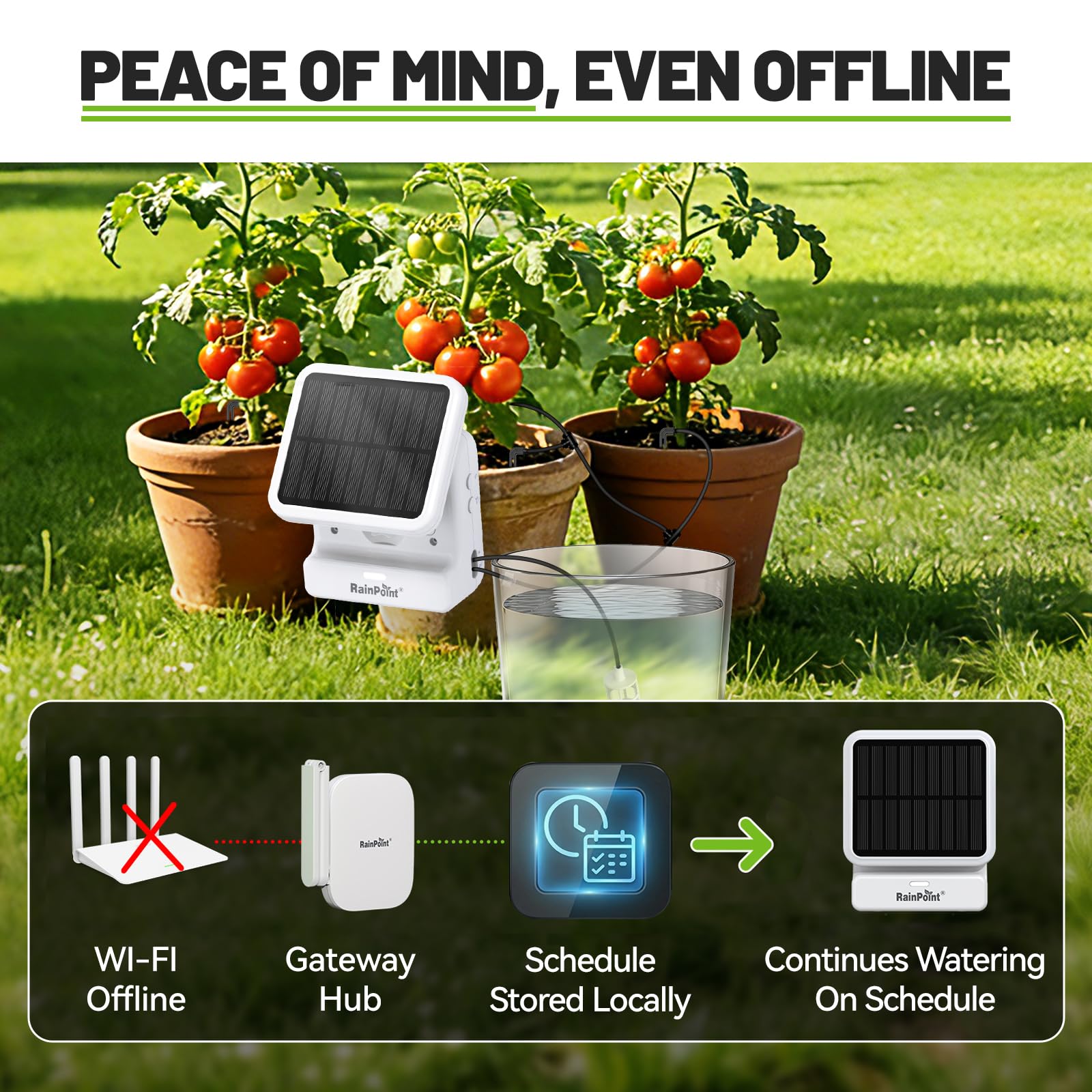 RAINPOINT solar-powered watering system setup in garden