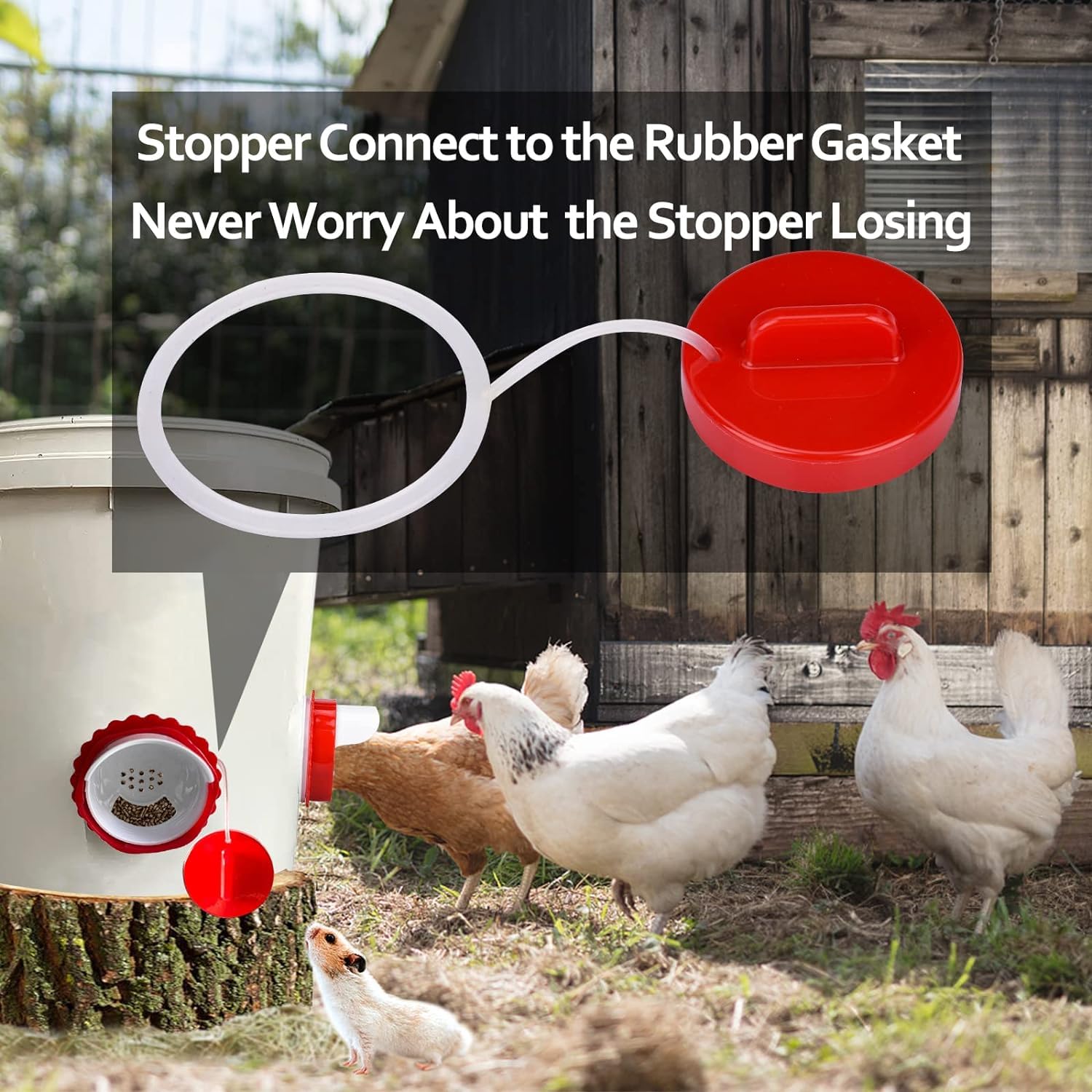 Rainproof chicken feeder design overview