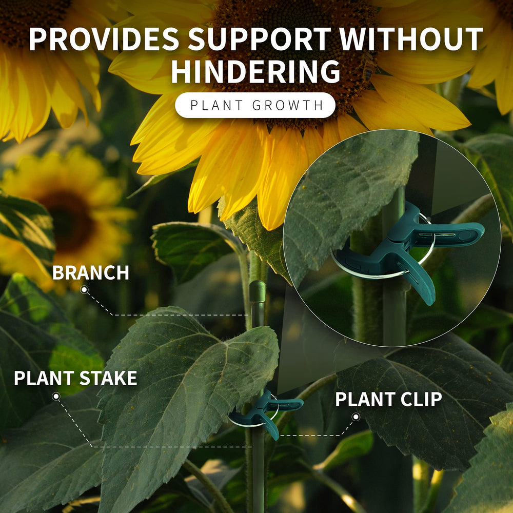 RamPro clips holding flower stems upright in garden