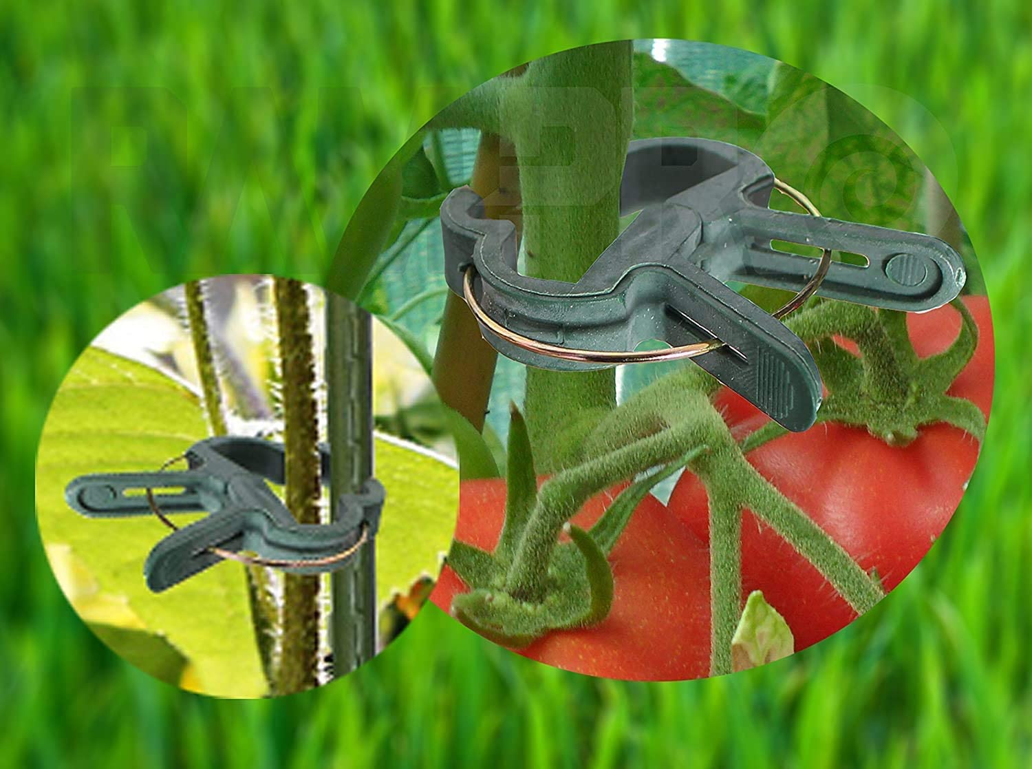 RamPro Plant Clips arranged on a table