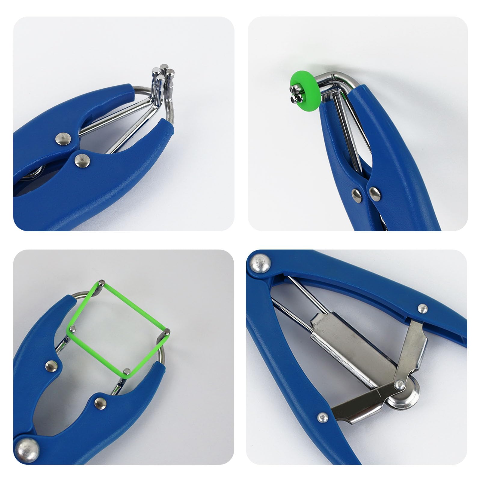 RANCH CHOICE Goat Banding Tool in use on livestock