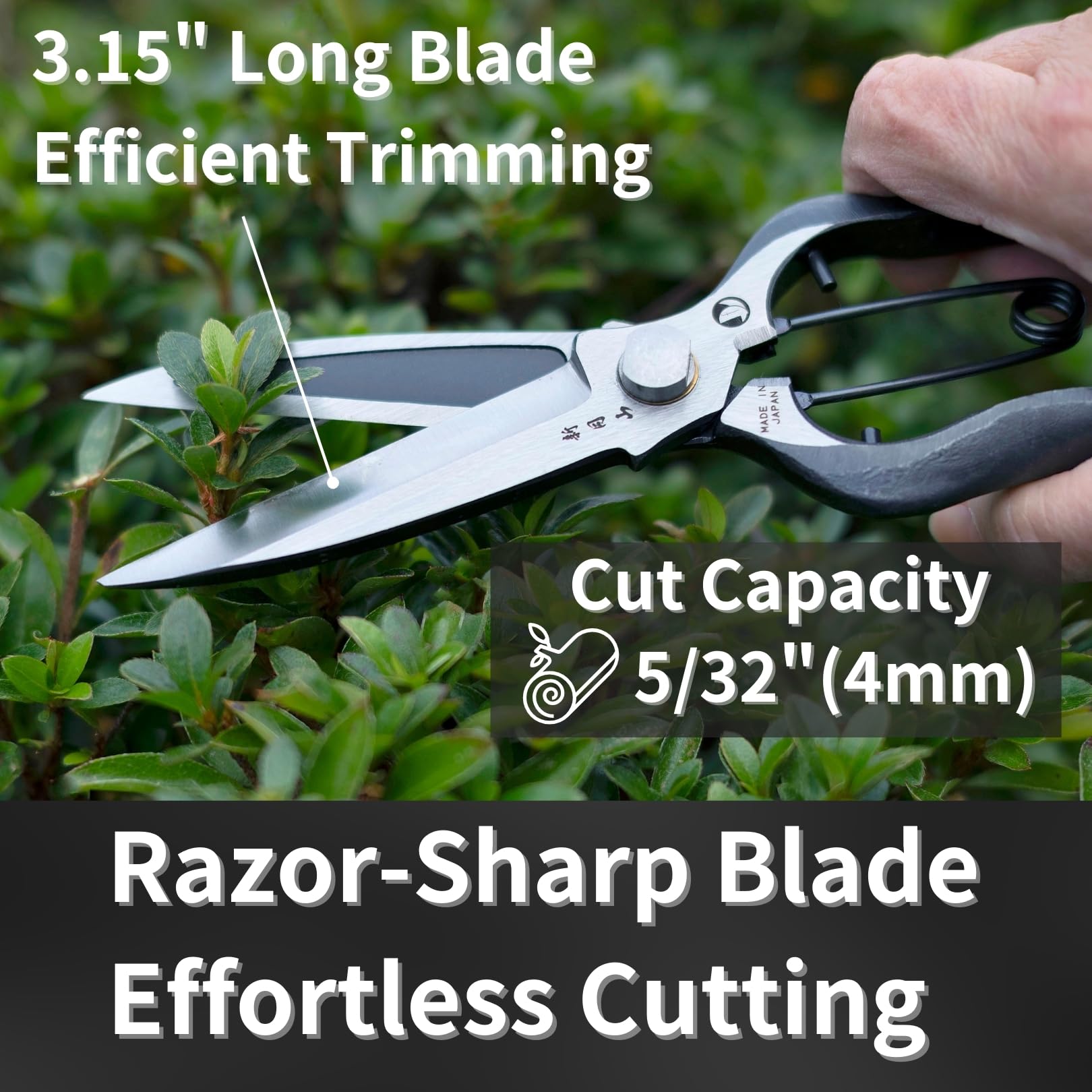 RANSHOU Leaf Trimming Scissors in use trimming hedges
