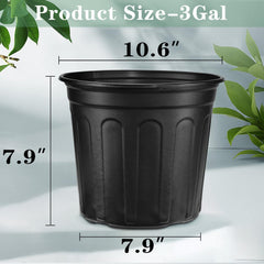 RAOOKIF 3 Gallon Nursery Pot black colour with plants inside