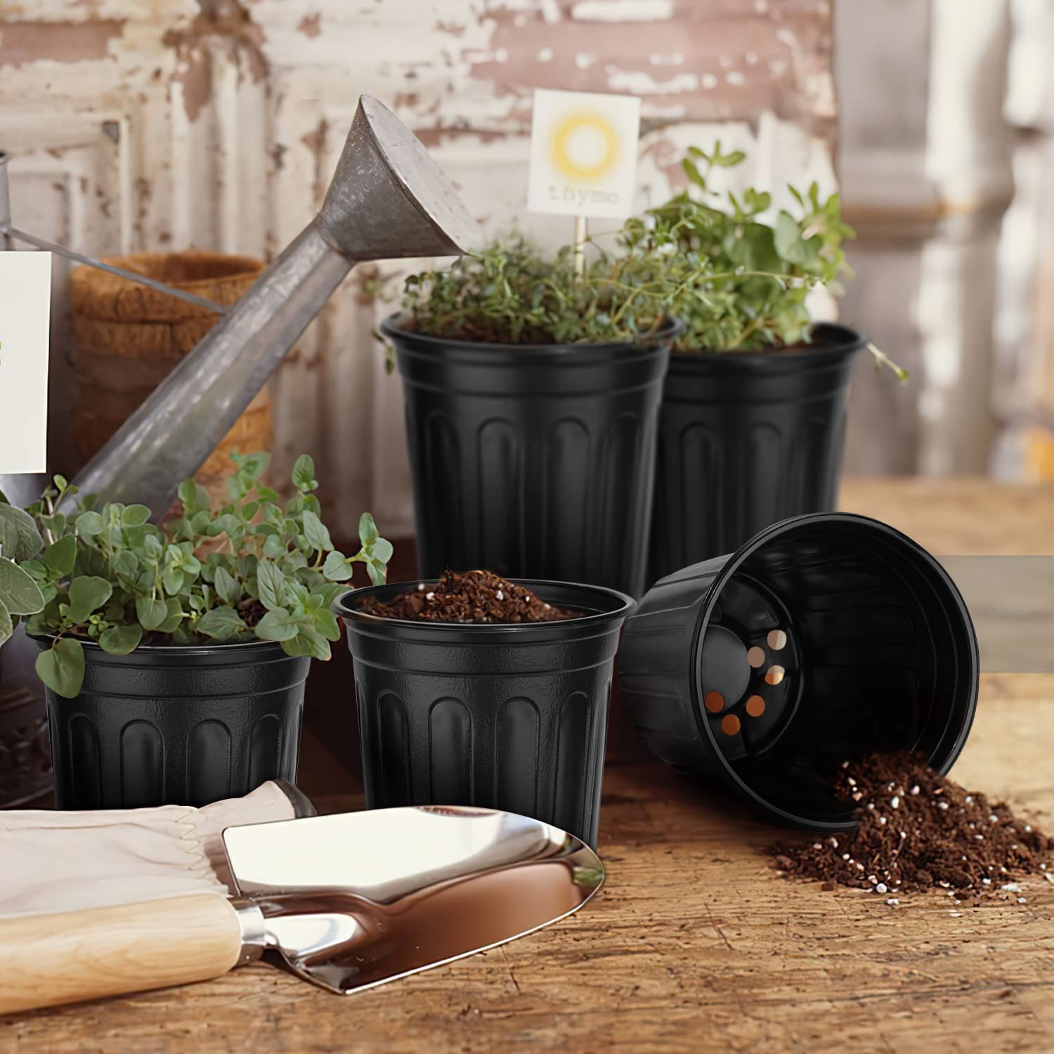 RAOOKIF 3 Gallon Nursery Pot dimensions with ruler