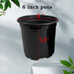 RAOOKIF nursery pots stacked showing 100 pack