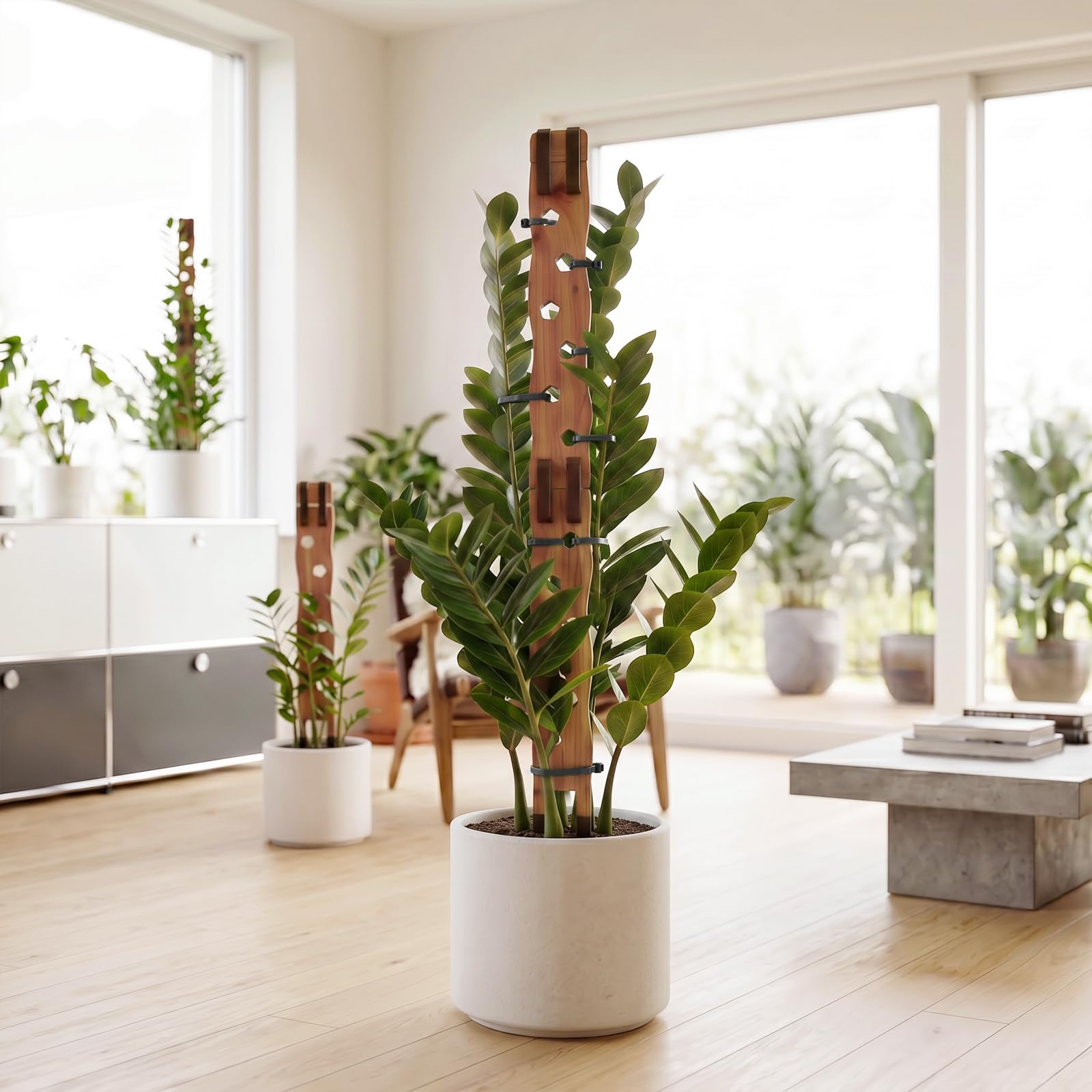 RAWILL Wooden Extendable Plant Trellis with Monstera