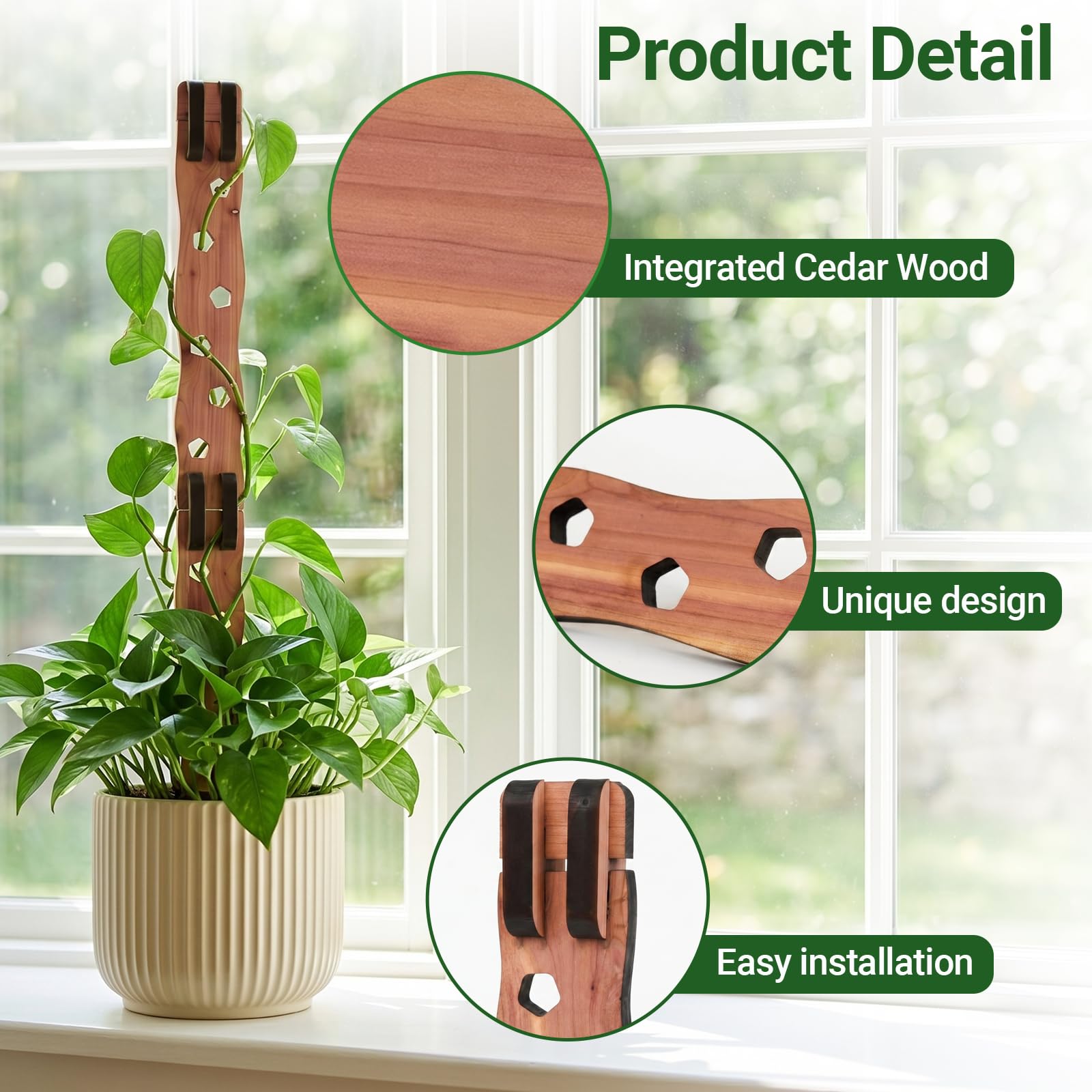 RAWILL Wooden Trellis with climbing Pothos plant