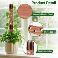 RAWILL Wooden Trellis with climbing Pothos plant