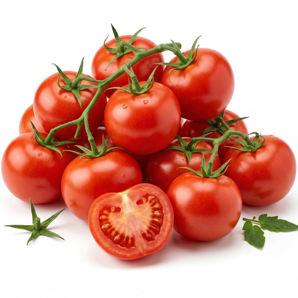 RDR Seeds Moneymaker Tomato Seeds packet front view