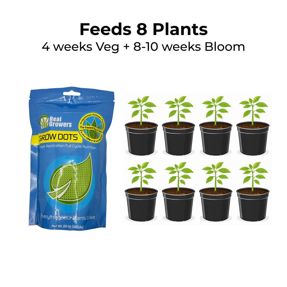 Real Growers Grow Dots Classic in a gardening setting