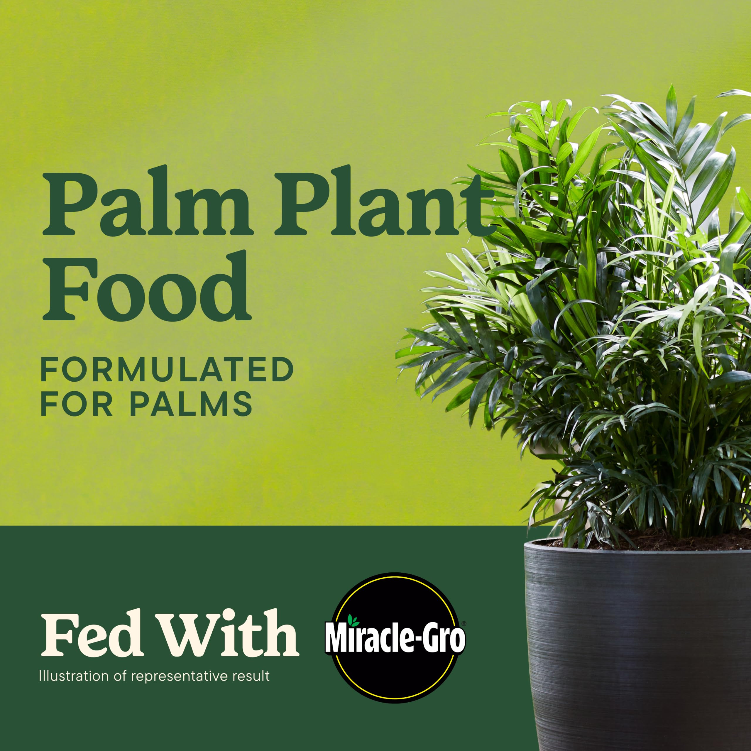 Rear view of Miracle-Gro Shake 'N Feed Palm Plant Food packaging