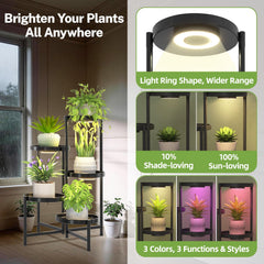 Rear view of the iDavosic.ly 5 Tier Plant Stand