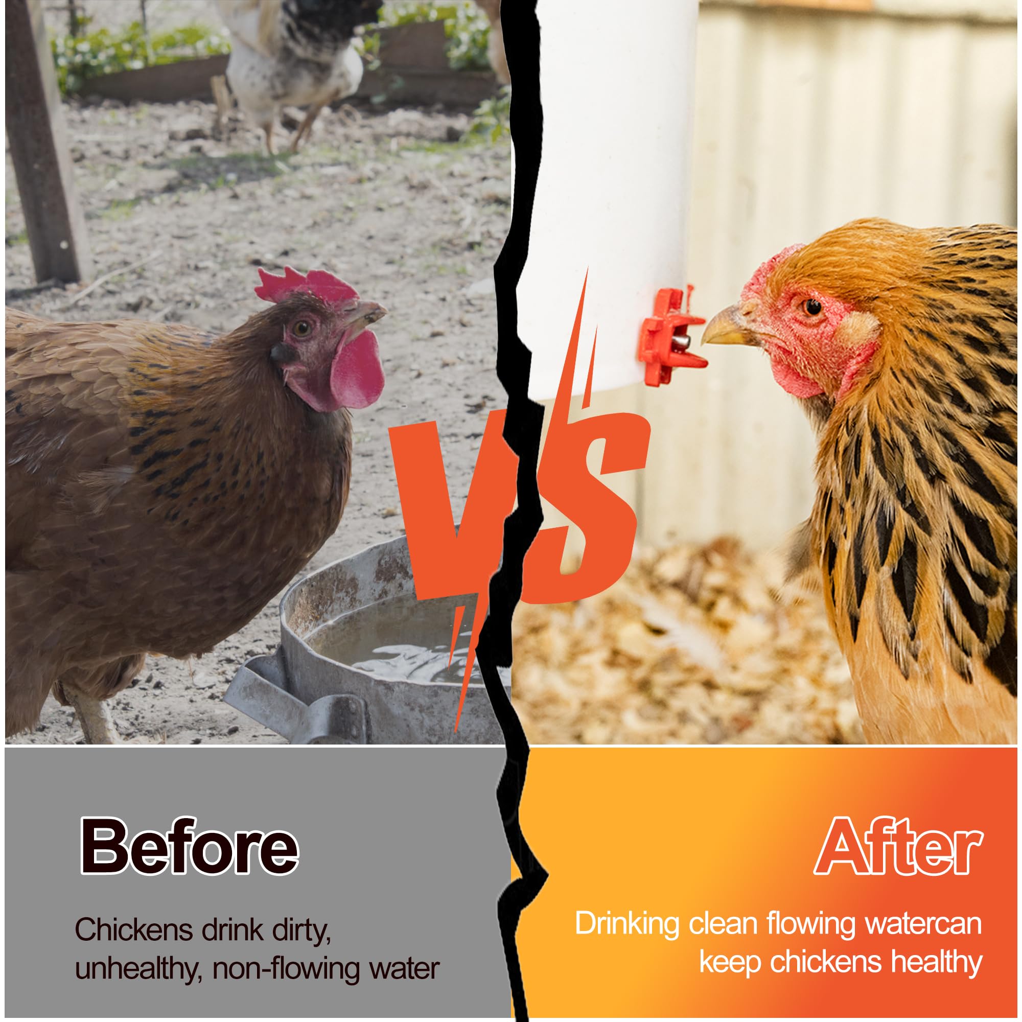 Red chicken waterer nipple showing no-leak design