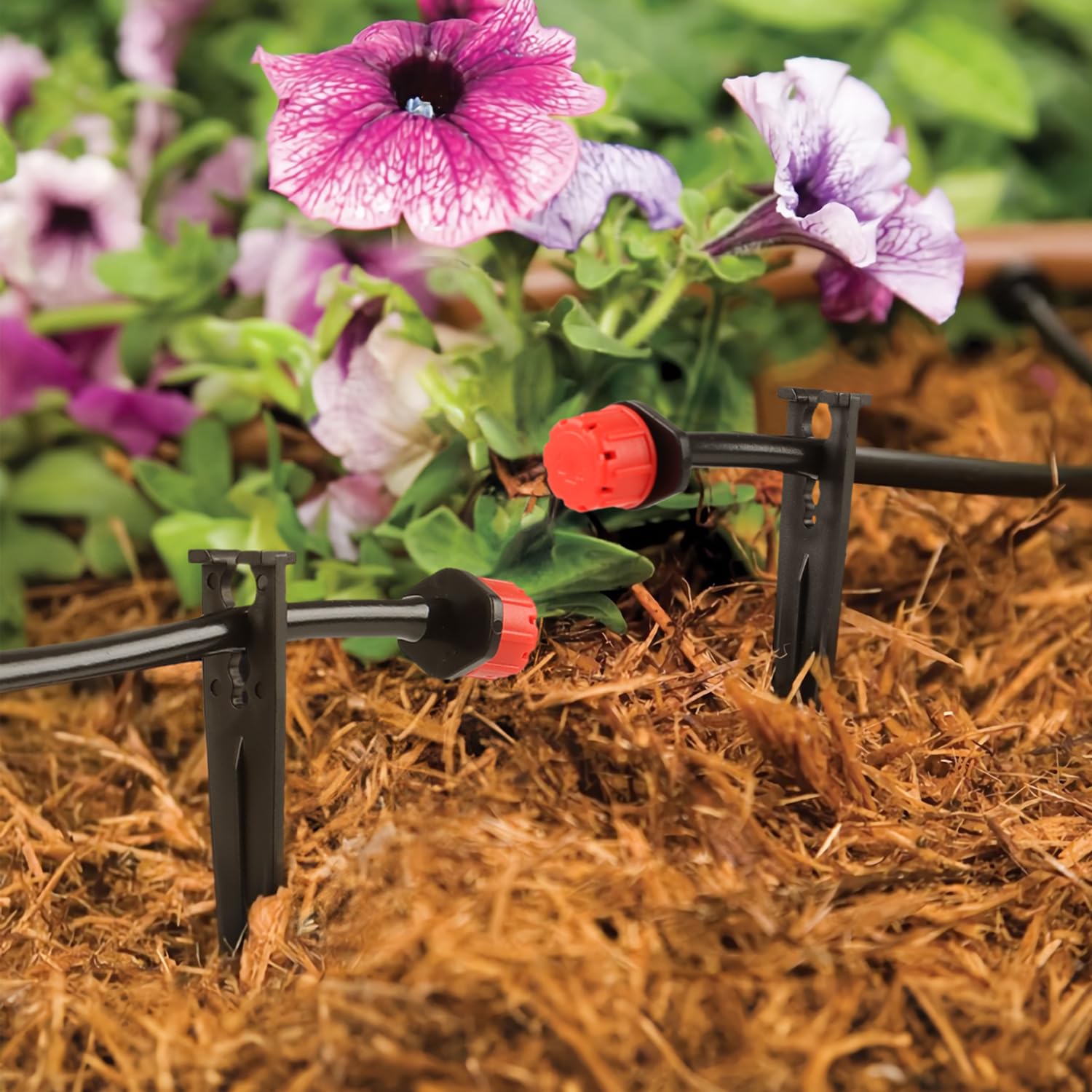 RedChili irrigation support stakes package display