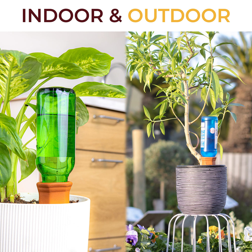 Reifier Self Watering Spikes in use with a bottle