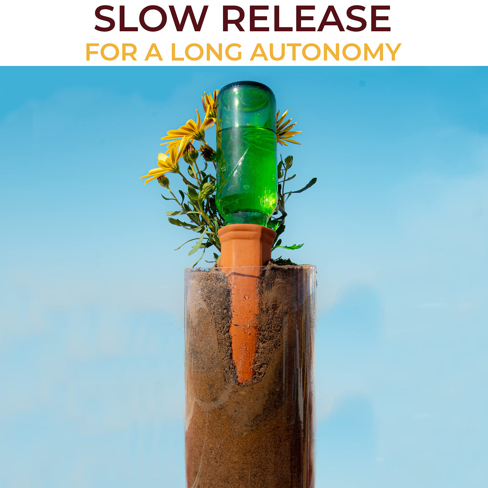 Reifier Self Watering Spikes packaging