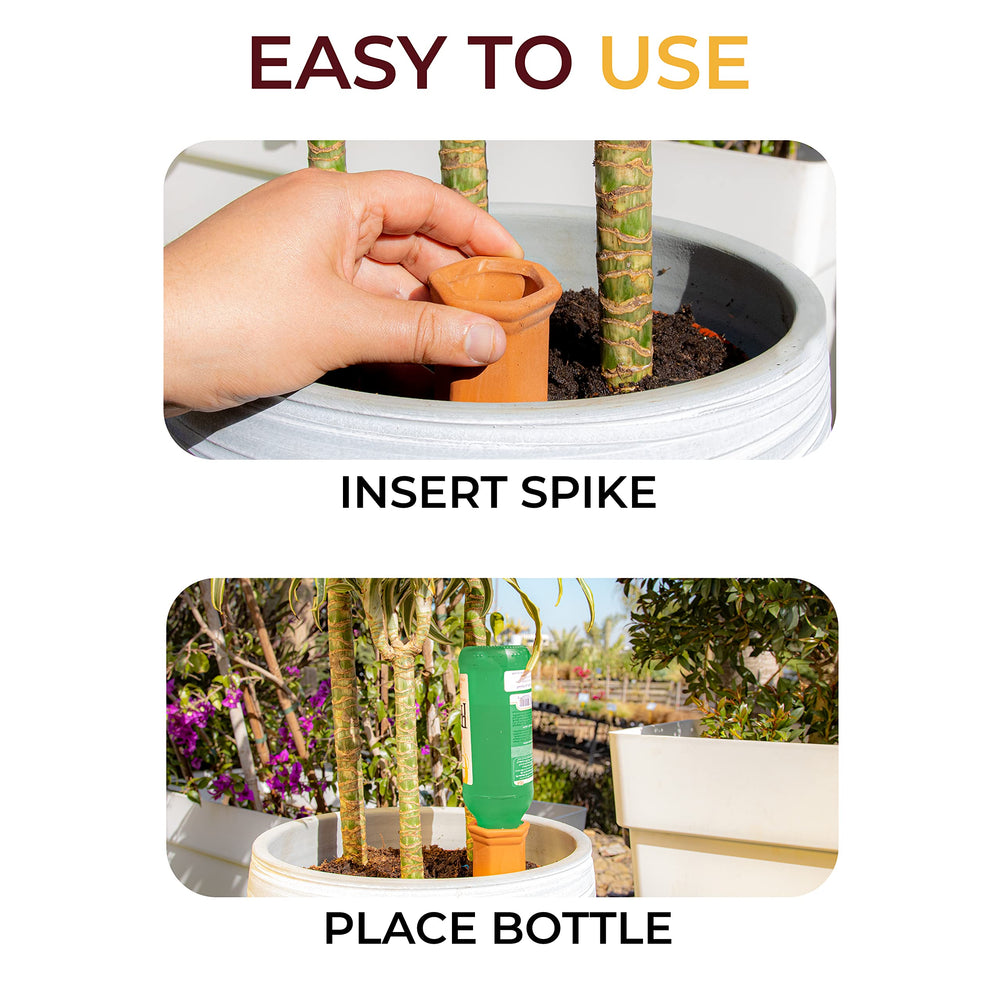 Reifier Self Watering Spikes with various bottle types
