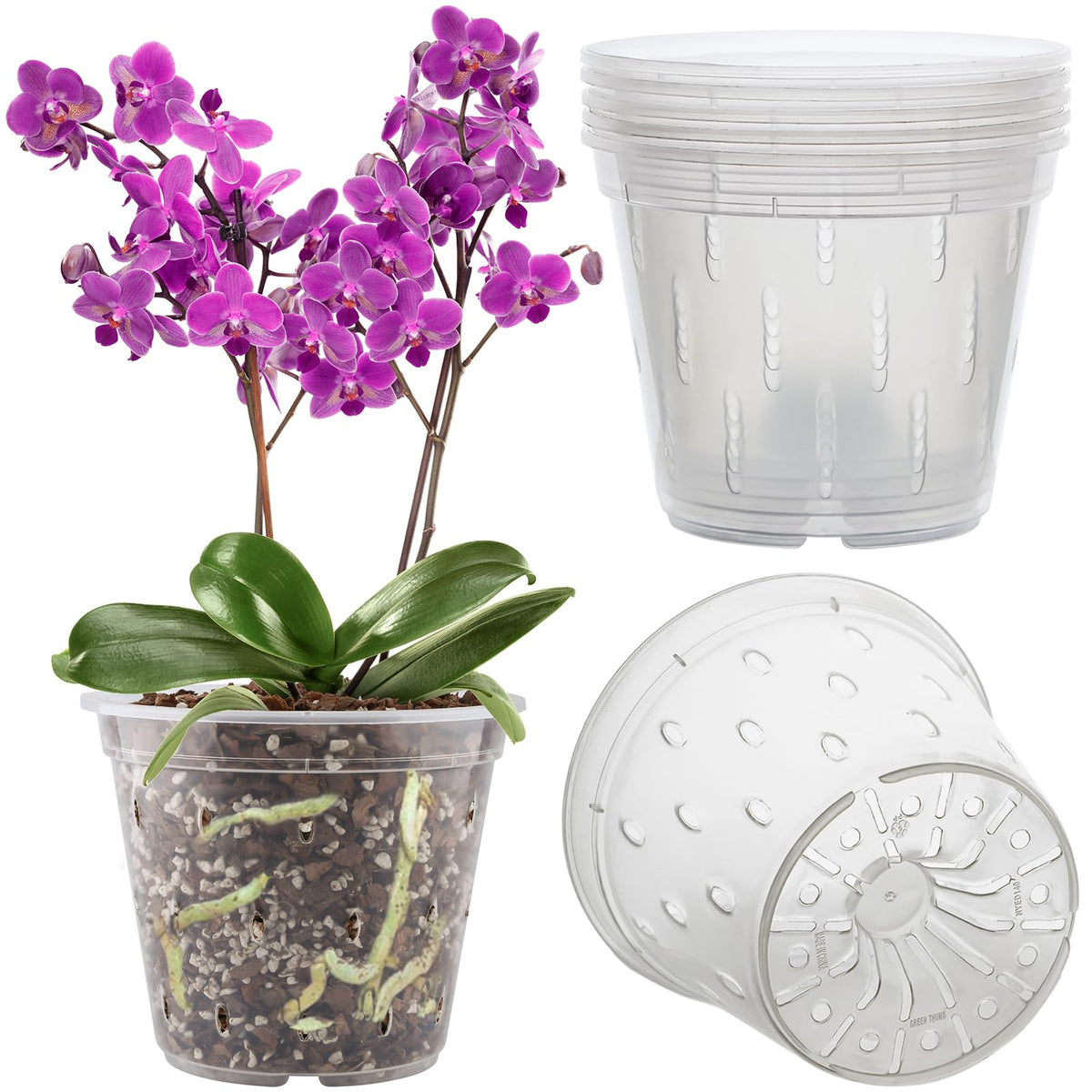 REMIAWY Orchid Pot Set of 6, clear plastic pots from front view