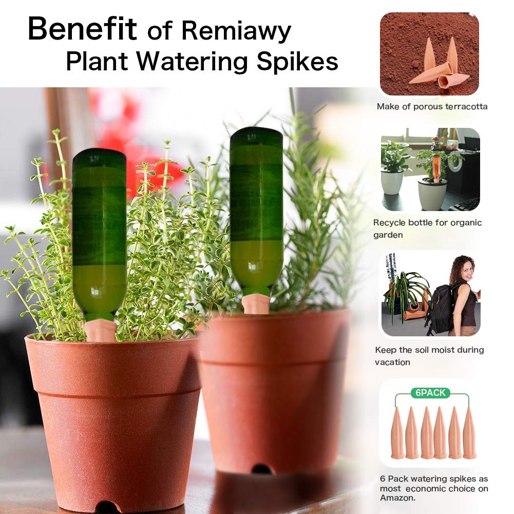 REMIAWY plant watering spikes packaging