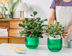 Removable chain on Melphoe self-watering planter