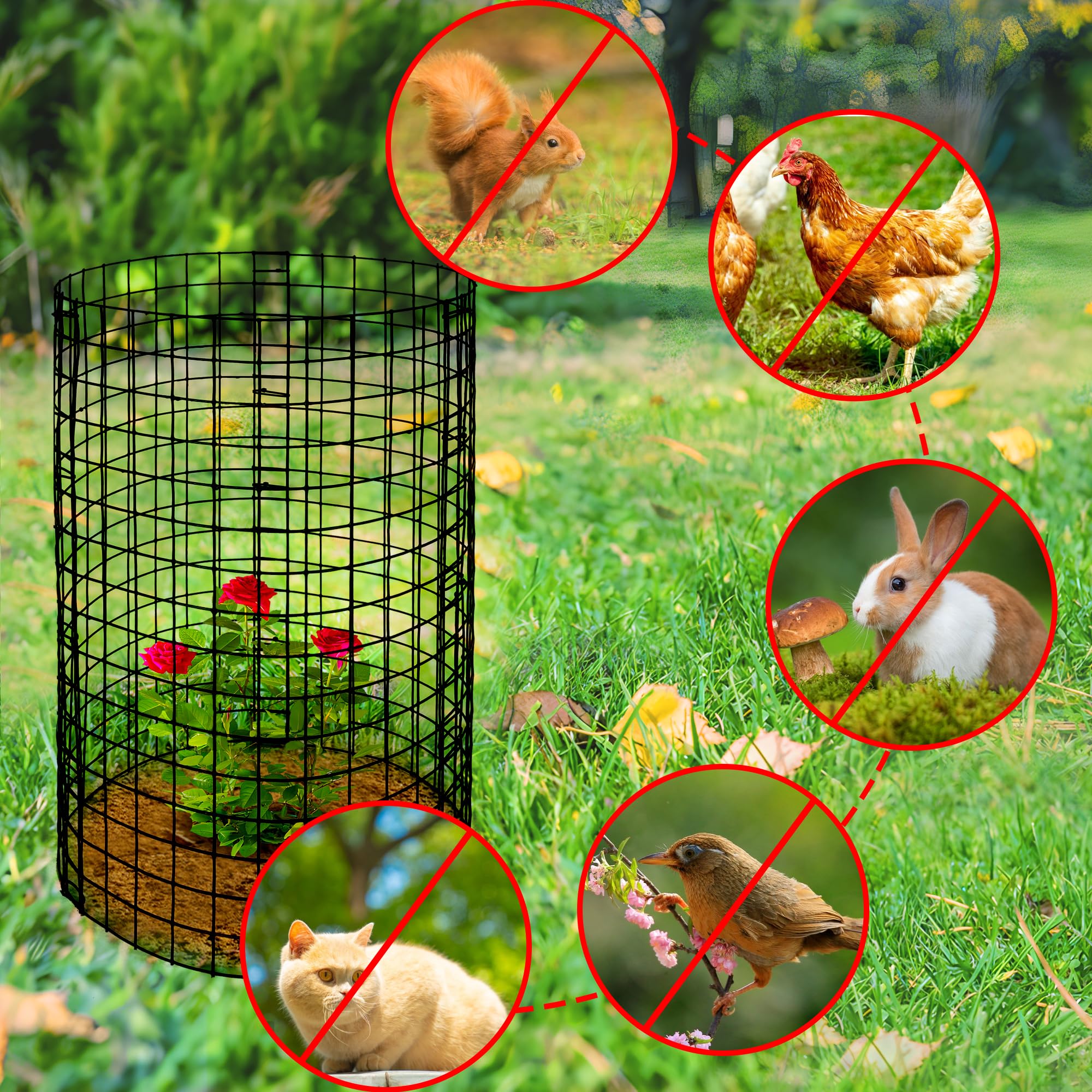 Removable metal cover on Adnee Wire Plant Protector