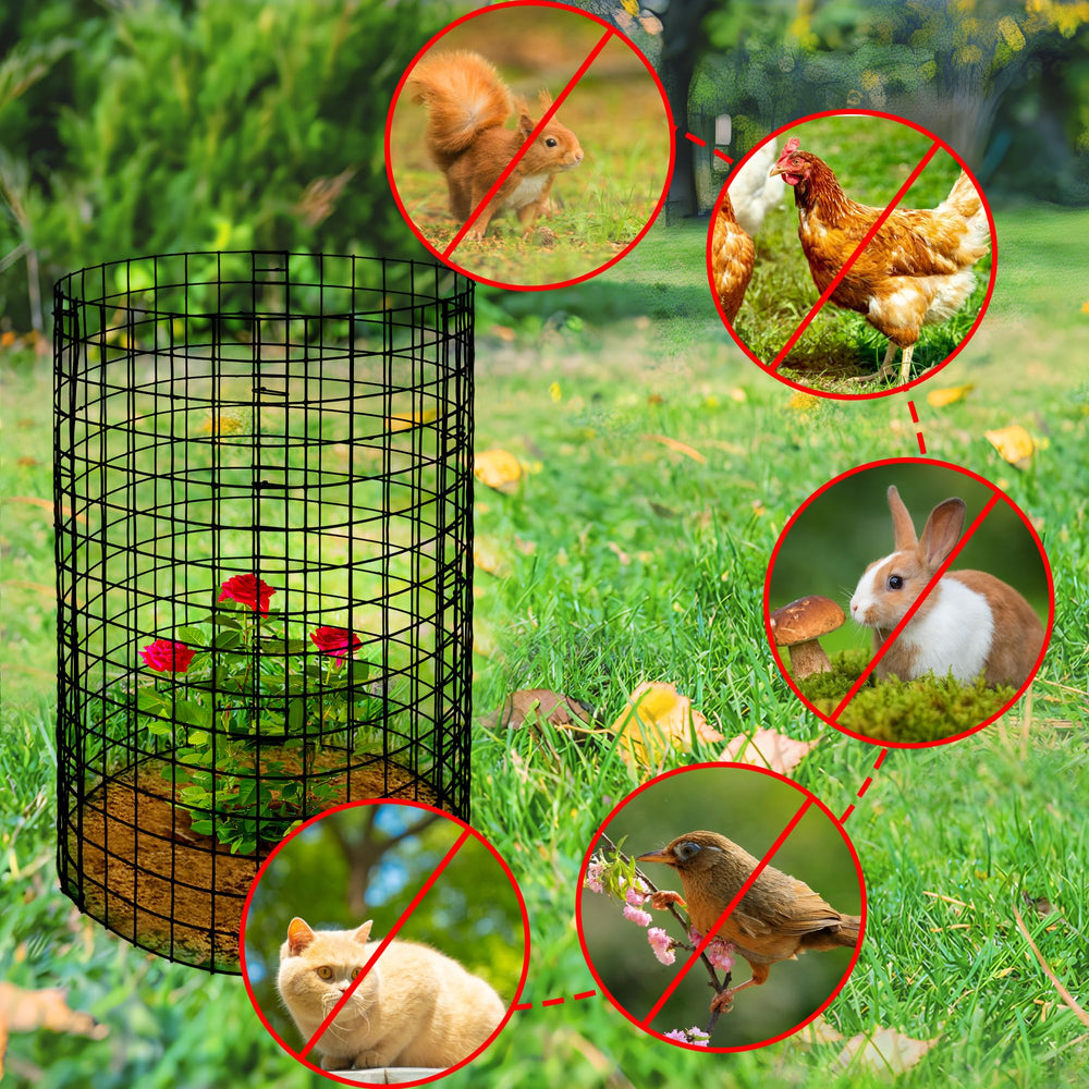 Removable metal cover on Adnee Wire Plant Protector