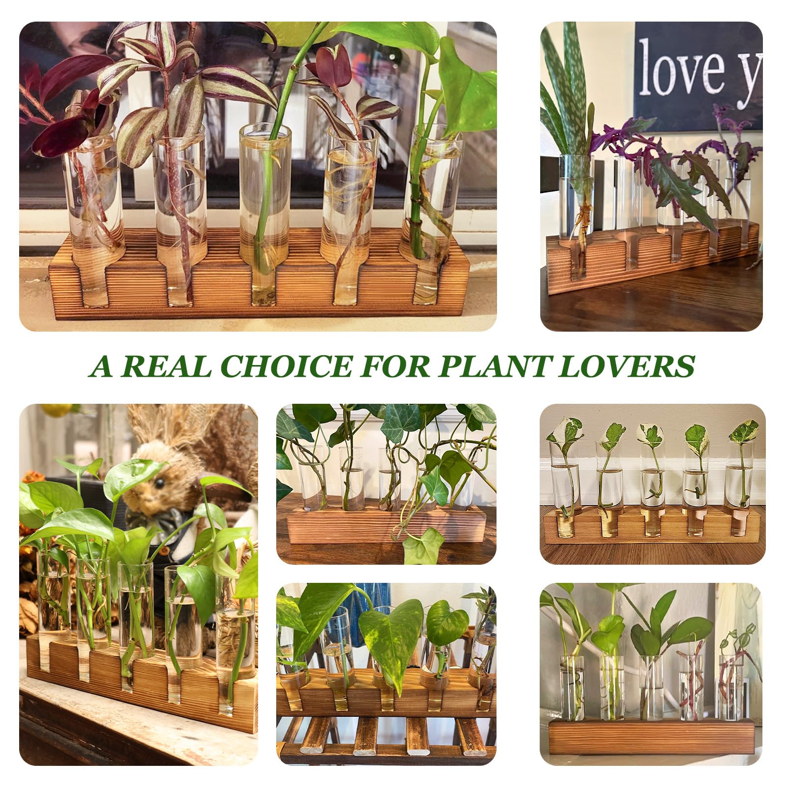 Renmxj Plant Propagation Station beautifully packaged for gifting