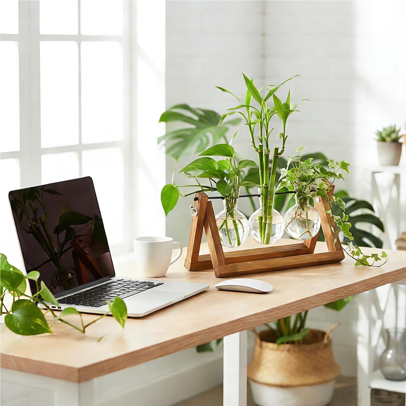 Renmxj Plant Propagation Station displayed in a bright kitchen