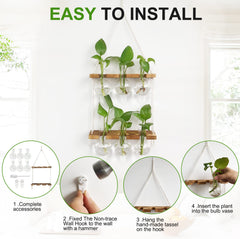 Renmxj Plant Propagation Station hanging on a wall with plants