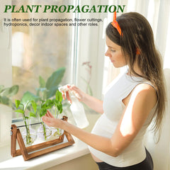Renmxj Plant Propagation Station set up on a desk with plants