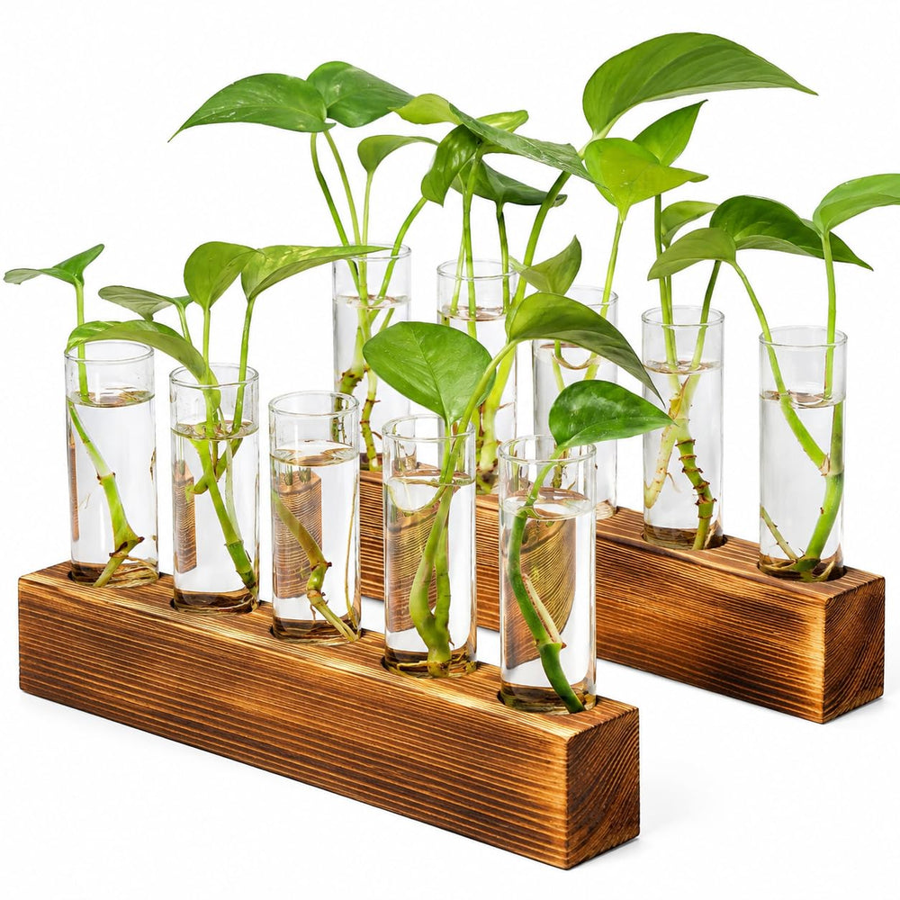 Renmxj Plant Propagation Station with 10 glass test tubes and wooden stand