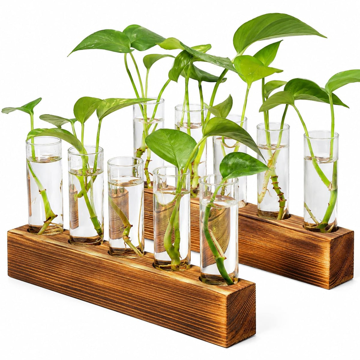 Renmxj Plant Propagation Station with 10 glass test tubes and wooden stand