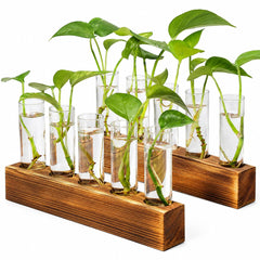 Renmxj Plant Propagation Station with 10 glass test tubes and wooden stand