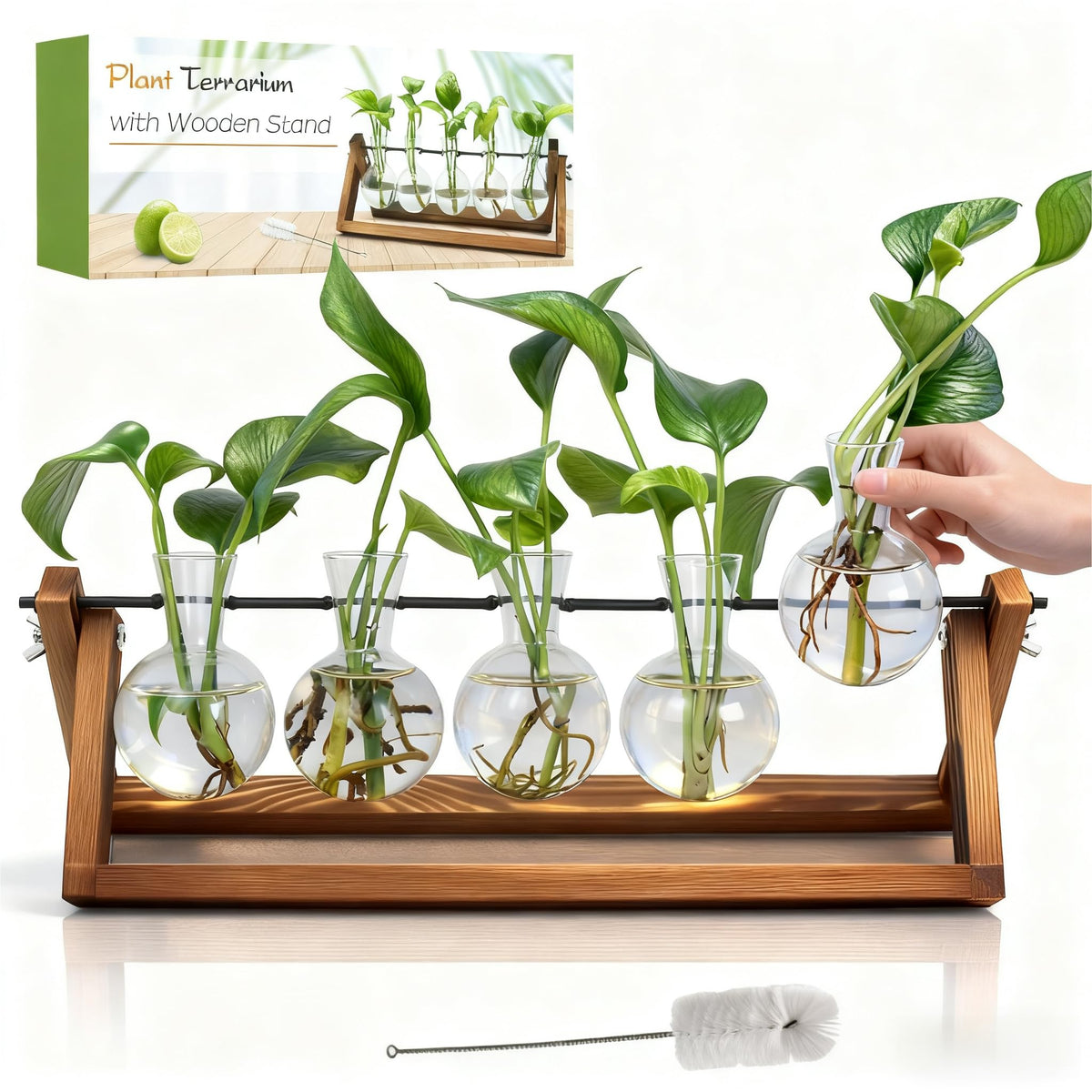 Renmxj Plant Propagation Station with 5 glass bulb vases and wooden stand