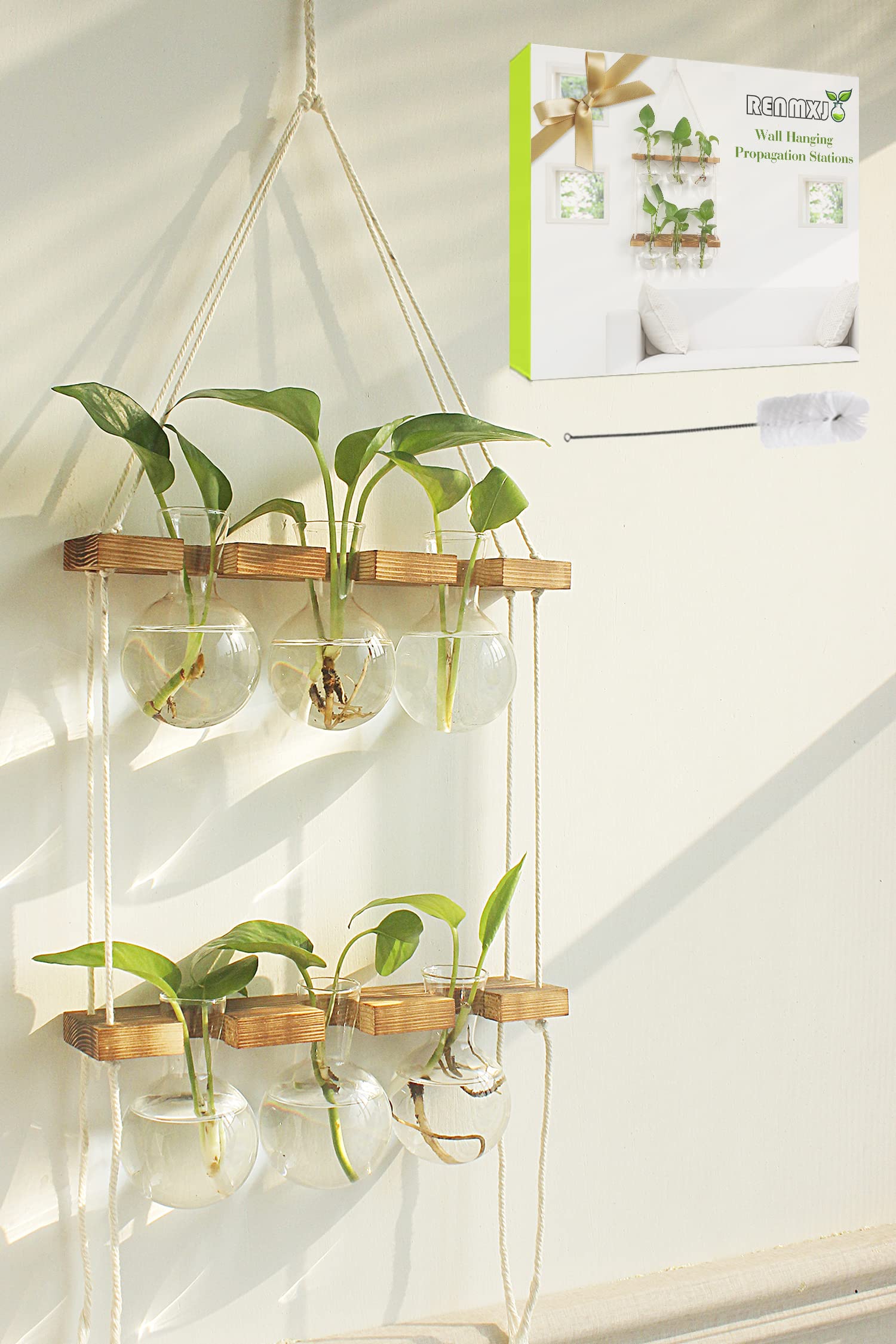 Renmxj Plant Propagation Station with 6 glass vases and wooden stand