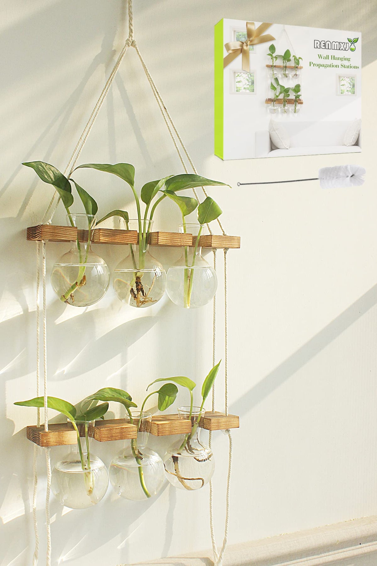 Renmxj Plant Propagation Station with 6 glass vases and wooden stand