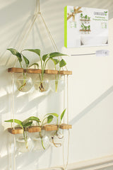 Renmxj Plant Propagation Station with 6 glass vases and wooden stand