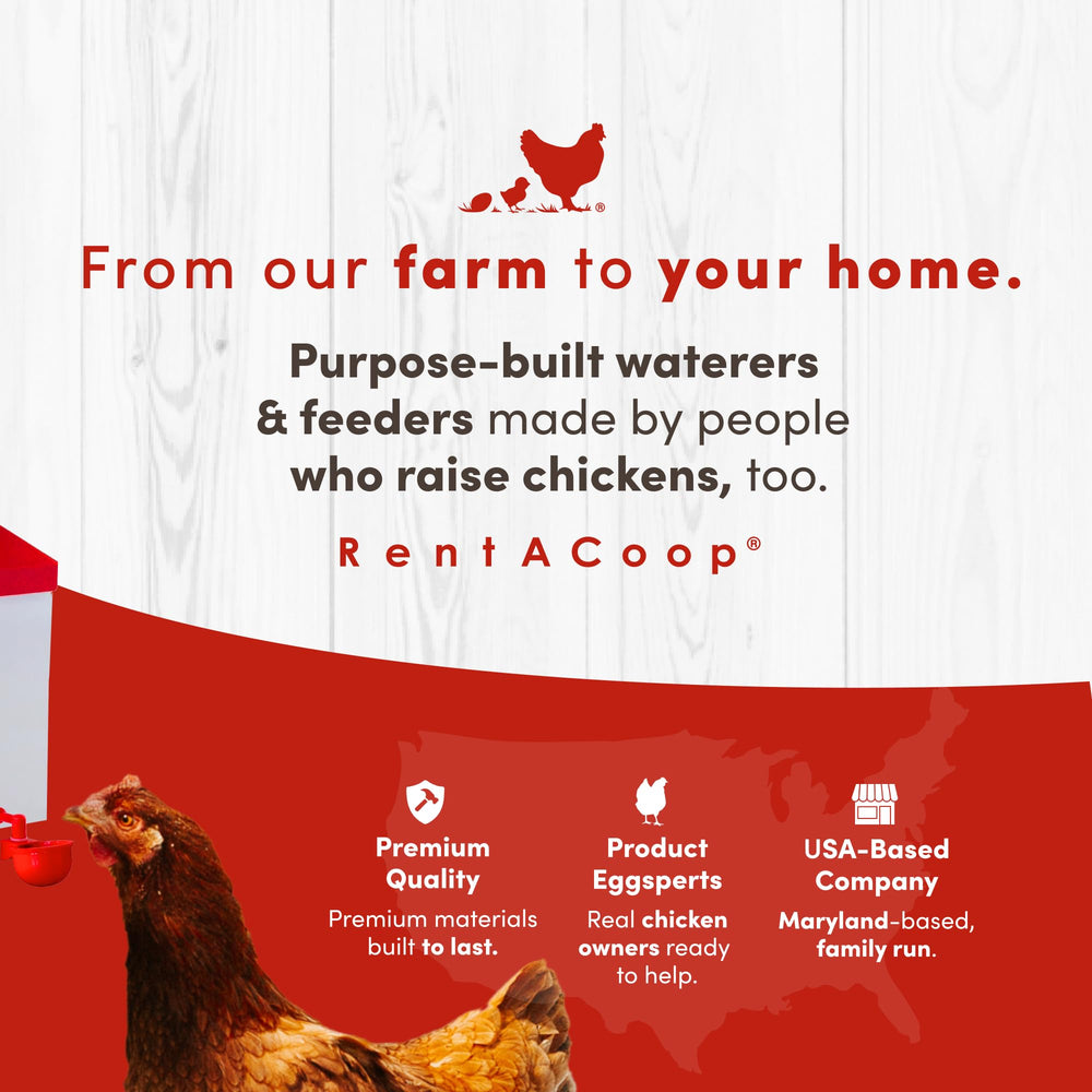 RentACoop Automatic Drinker in use with chicks drinking